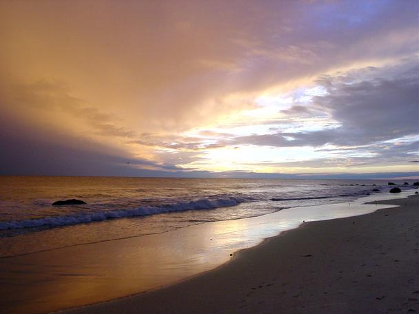 Beach Sunset